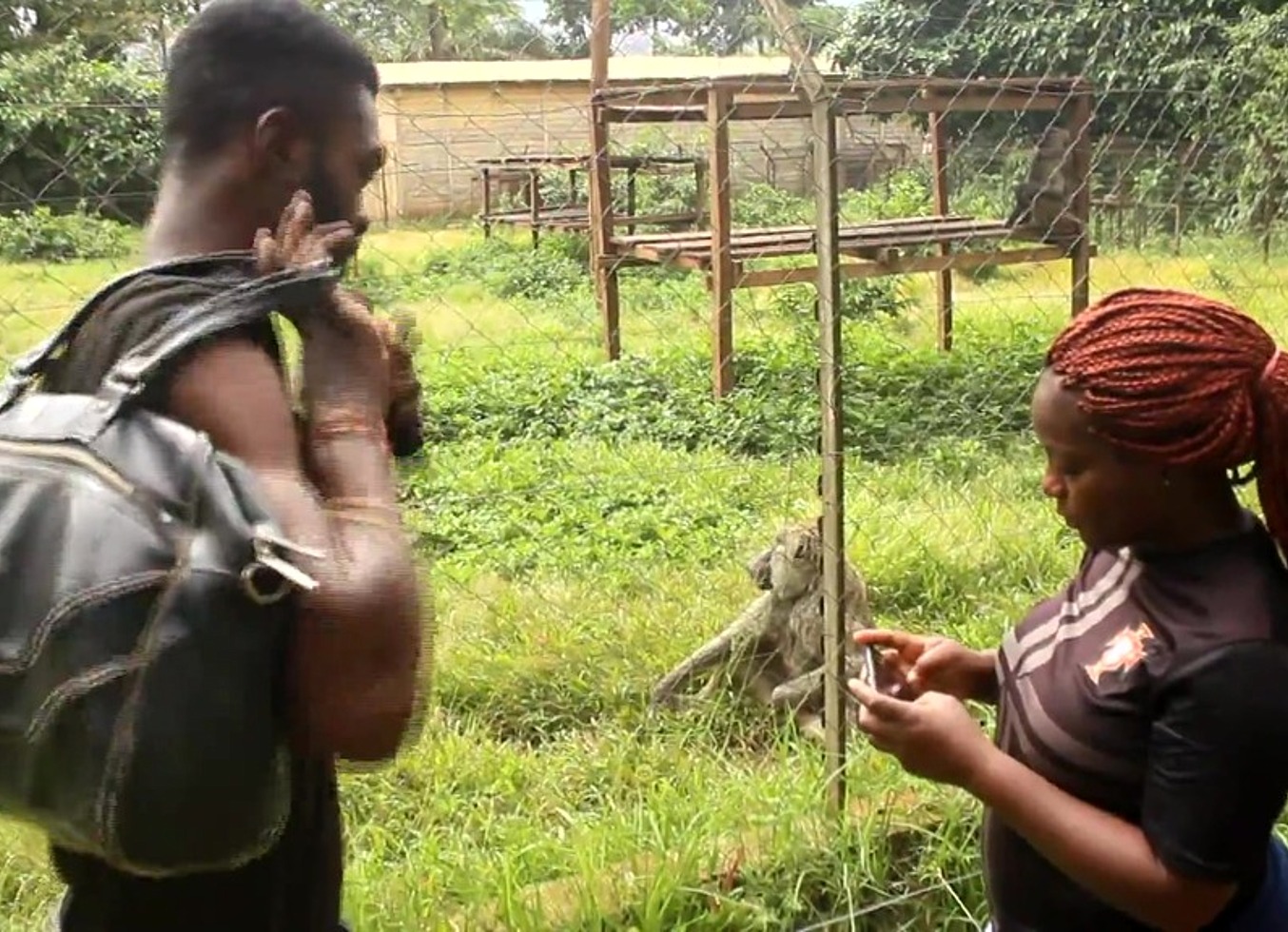 An Unexpected Encounter In An Amusement Park Can Sometimes Lead To Memorable Experiences