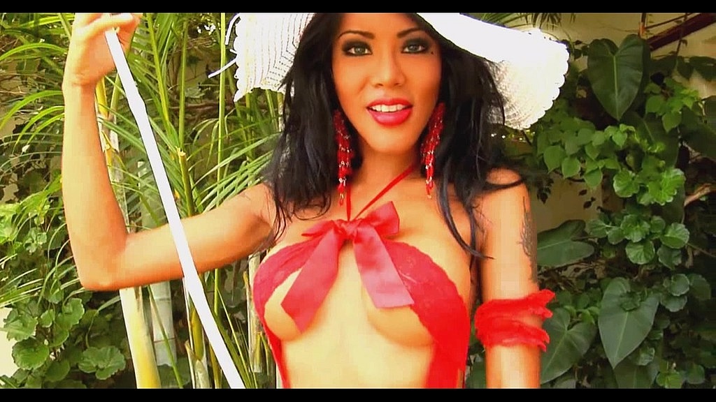 AsianTrans69: hat tree trans public masturbation (AnalVids.com) hat tree trans public masturbation (AsianTrans69)
