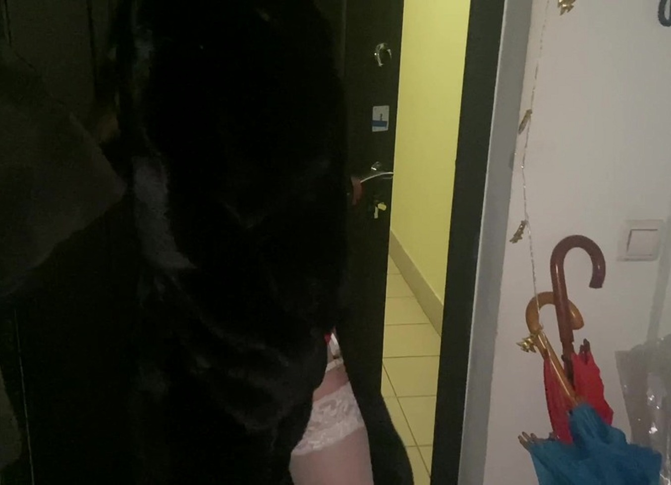 Fucking My Neighbour