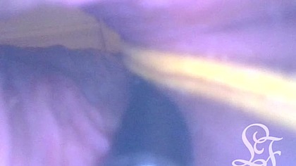 POV: Laying Eggs while You're INSIDE my Ass