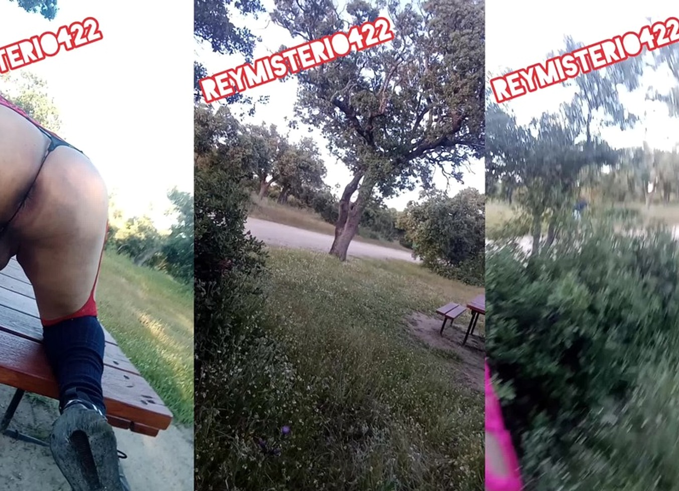 Reymisterio422 - Me Pongo Caliente Y Salgo A Caminar Con Lenceria Roja Por El Bosque - 1000019482 - May 27, 2025