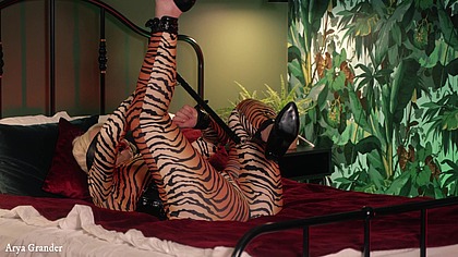 Submissive MILF Bondage in Spandex (Arya Grander)