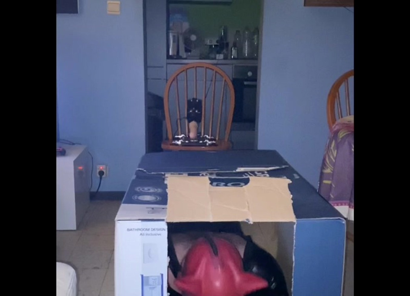 Analzebutt Sissy Surprise In A Box