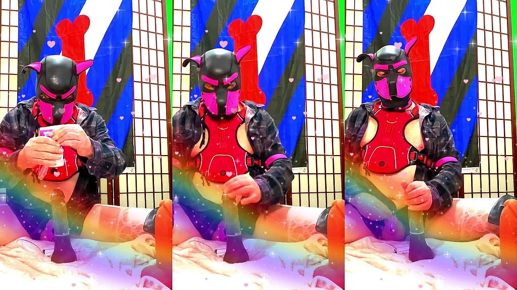 gay doggy styled (Sillyboi) gay doggy styled (Sillyboi)