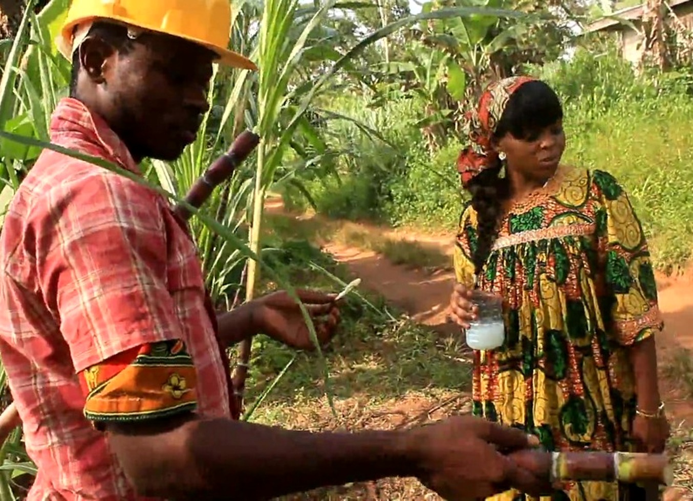 In The Field With A Palm Wine Picker Who Finds Me Defriche The Field And We Ended Up Kissing On The Spot