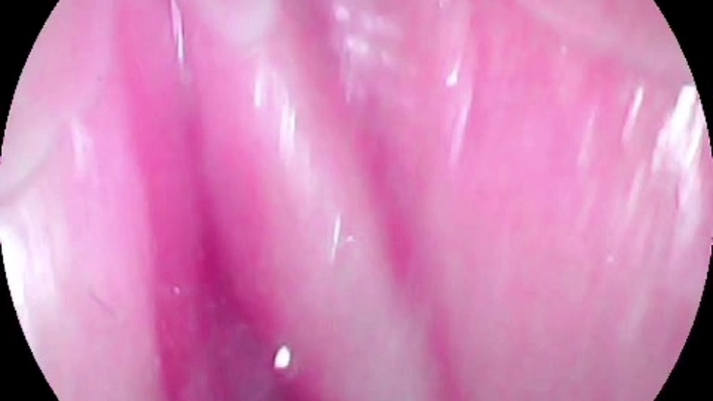 camera inside my creamy juicy pussy (Sexyhornygirl6969) camera inside my creamy juicy pussy (Sexyhornygirl6969)
