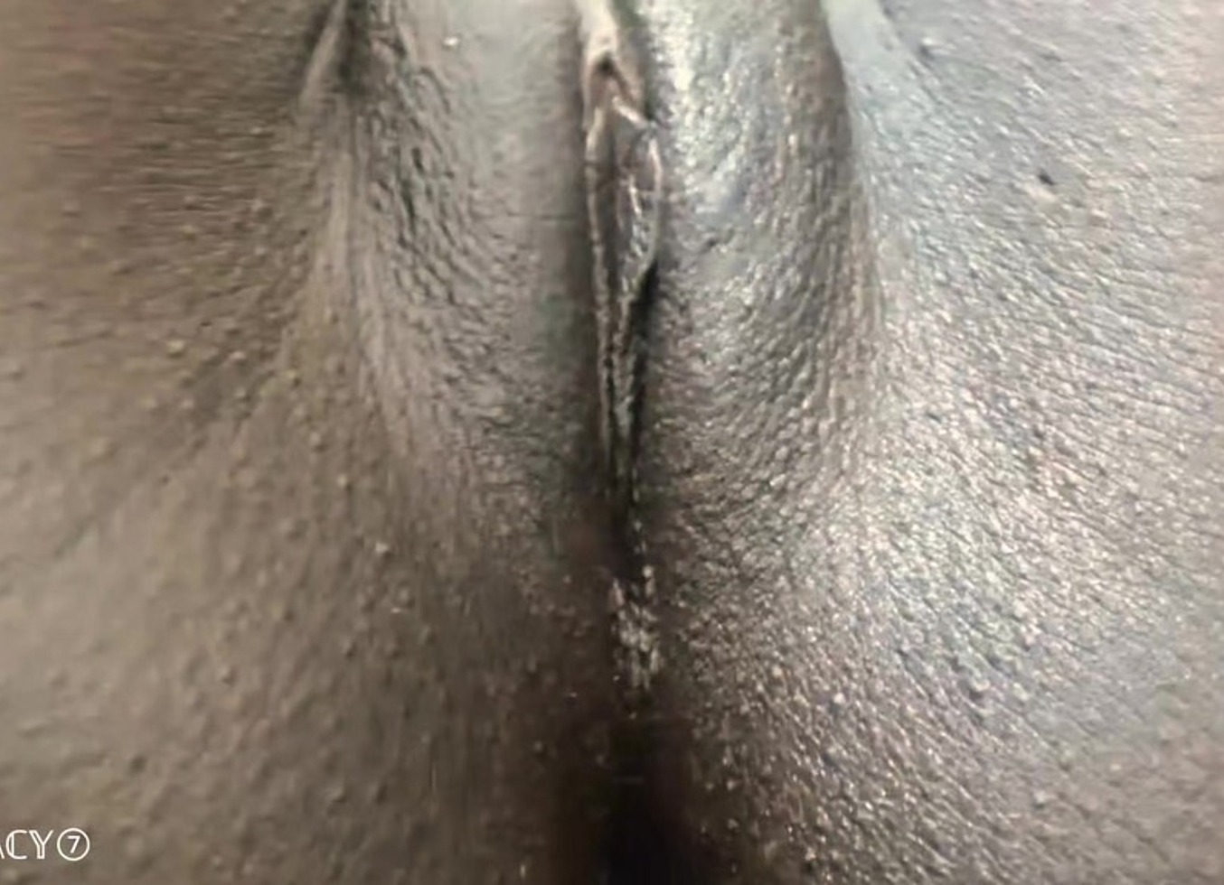 Sexystacy7 - Fat Cameltoe Pussy