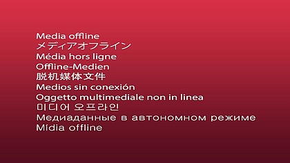 Fulfills her Promise