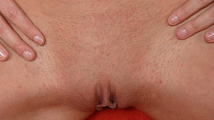 Pop tart that's sweet as pie!