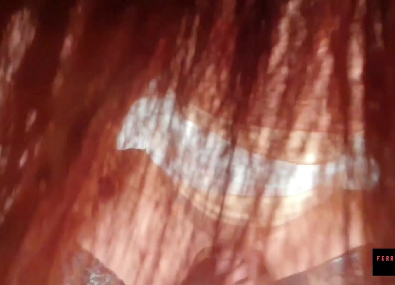 Onlymaya Tx. Maya And Luca POV Adventure With Trans Haycka