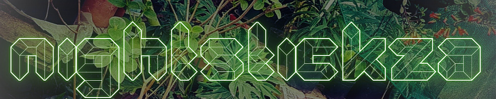 NightStickZA profile poster