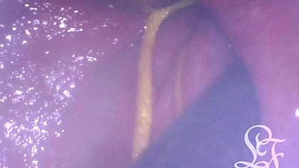 POV: Whisk in my Ass while you're inside