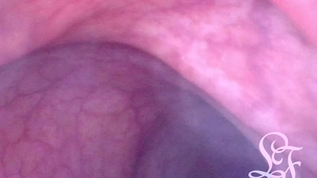 puoi nuotare nel suo culo quando si riempie d'acqua (Lina Free) you can swim through her ass when it gets filled with water (Lina Free)