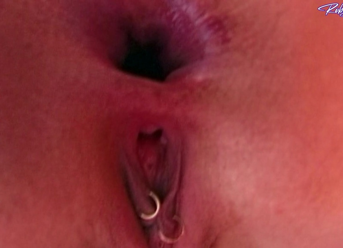 Pierre Dj Fuck in Ass Lady Rox