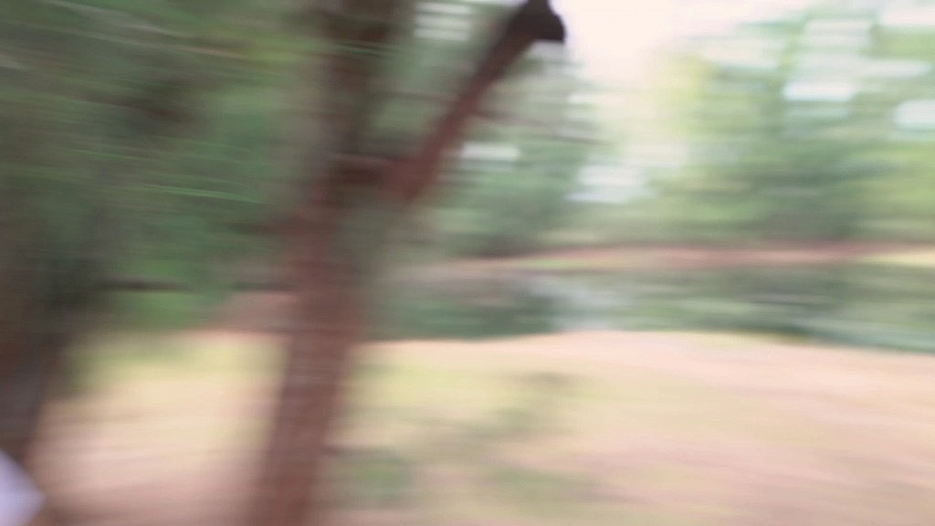 vivian takes dick in the woods (Vivian Taylor, Sean Lawless) vivian takes dick in the woods (Vivian Taylor, Sean Lawless)