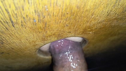 Dois pregos e um buraco de gloria