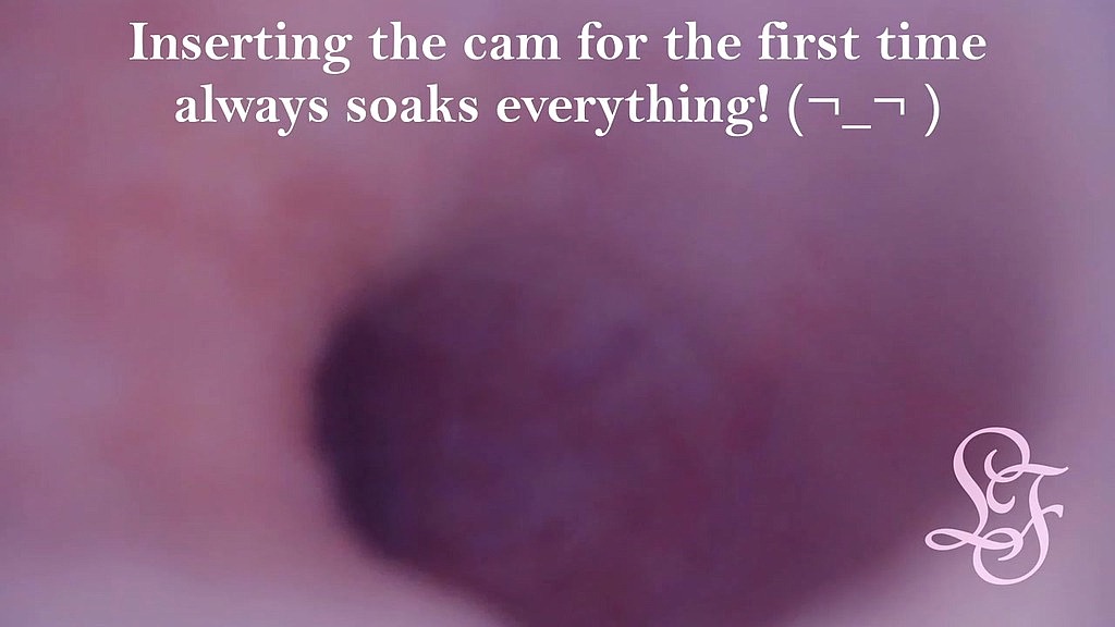 fisrt ever pov comshot from inside the prostate (Lina Free) fisrt ever pov comshot from inside the prostate (Lina Free)