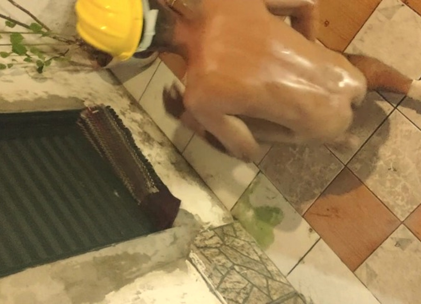 Masterofpiss - Update #2025 - Extreme Piss Play - Jun 12, 2025