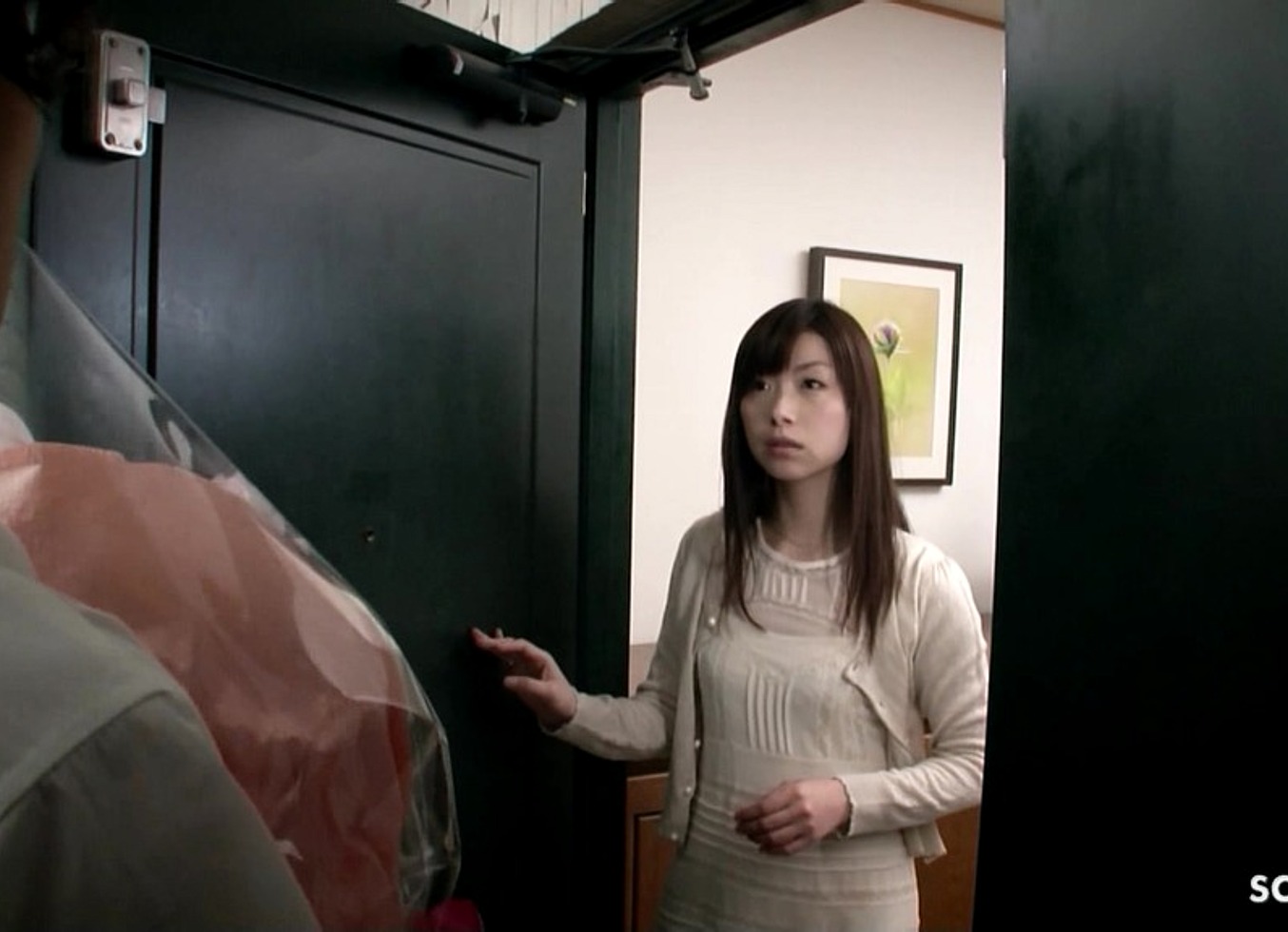 Bushy Vagina Japanese Teen Seduce To First Time Fuck By Classmate Boy When Home Alone In Uncensored Jav Porn