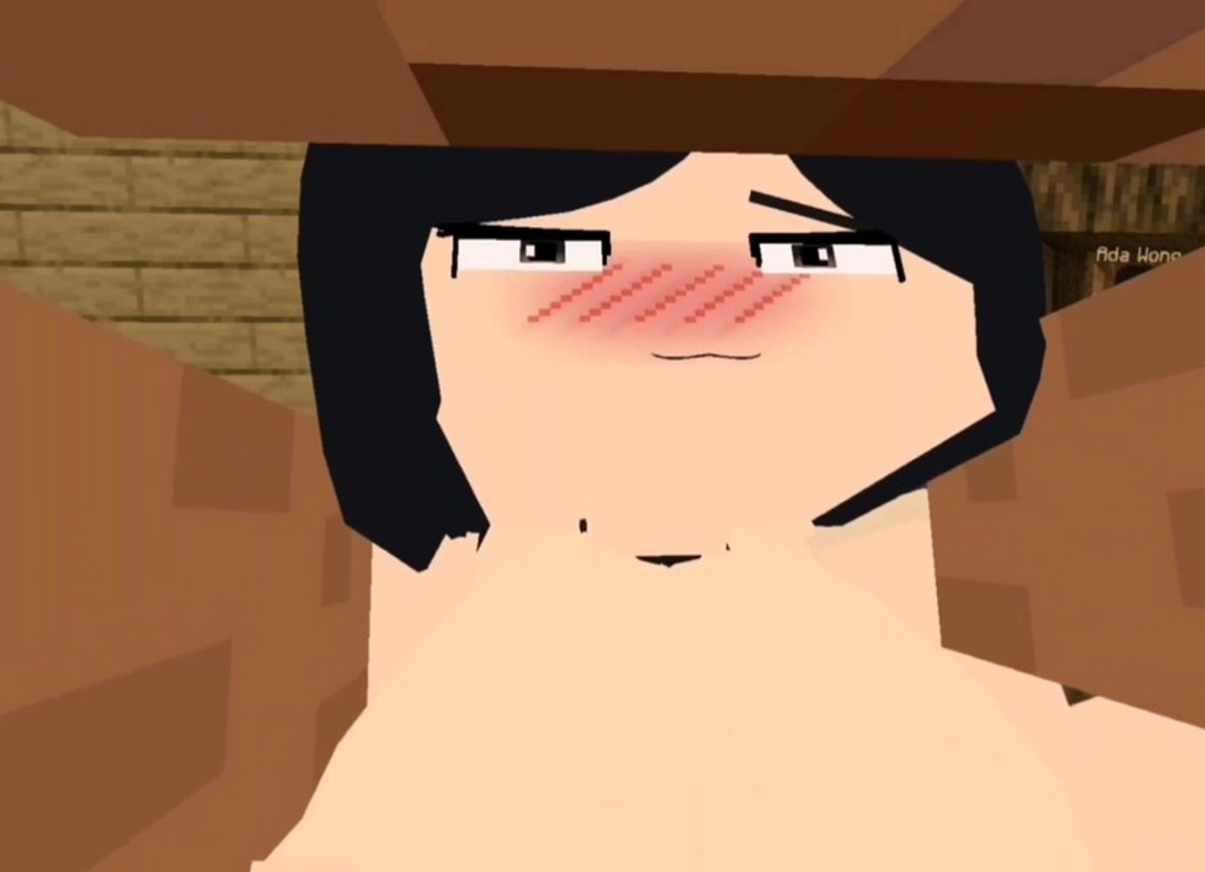 The Jenny Mod, Fapcraft Minecraft It Is Ada Wong From Resident Evil And She Wants To Fuck