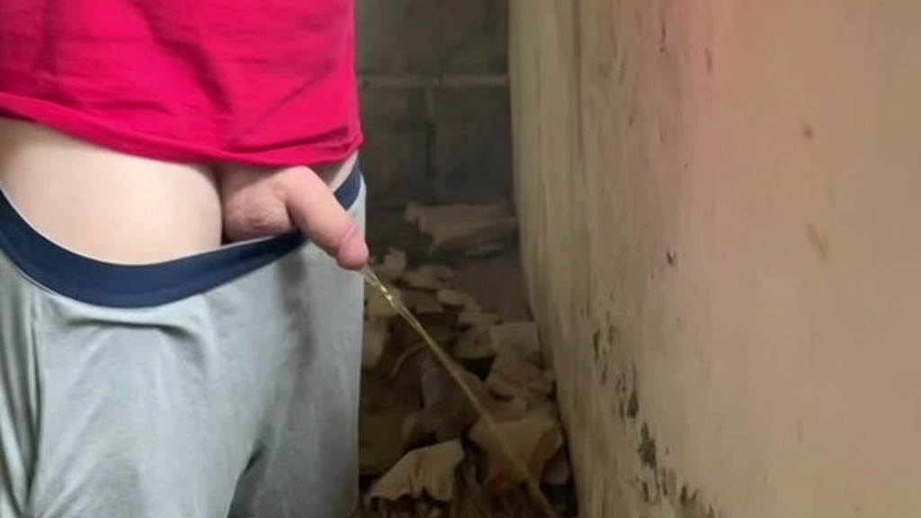 caught pissing handsfree in an abandoned building (Biflatmate) caught pissing handsfree in an abandoned building (Biflatmate)