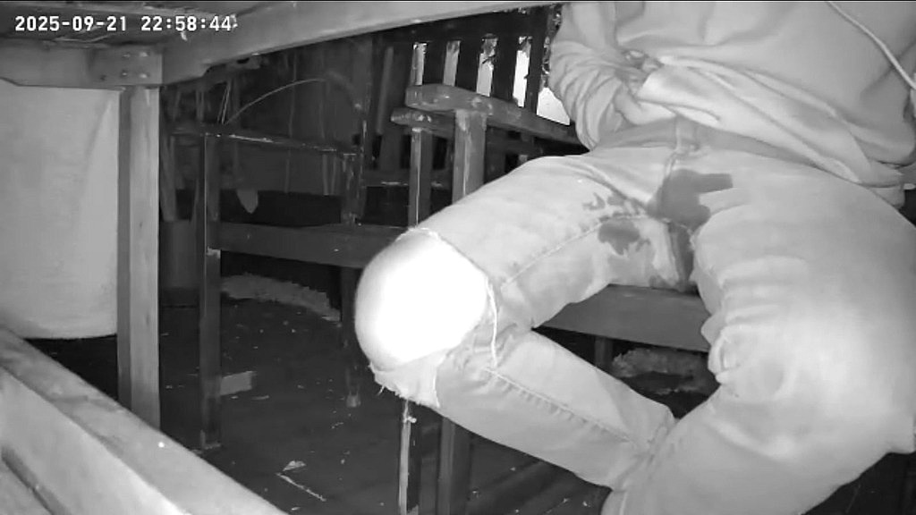 amateur boy caught on night vision cam peeing himself sitting at the garden table (he totally wets his pants) ) (Shyflatmate) amateur boy caught on night vision cam peeing himself sitting at the garden table (he totally wets his pants) ) (Shyflatmate)