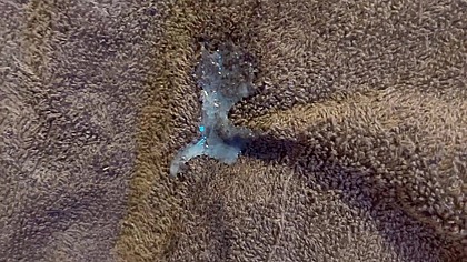 lot of sprems cumed in hana pussy tiny hole wet cute pussy