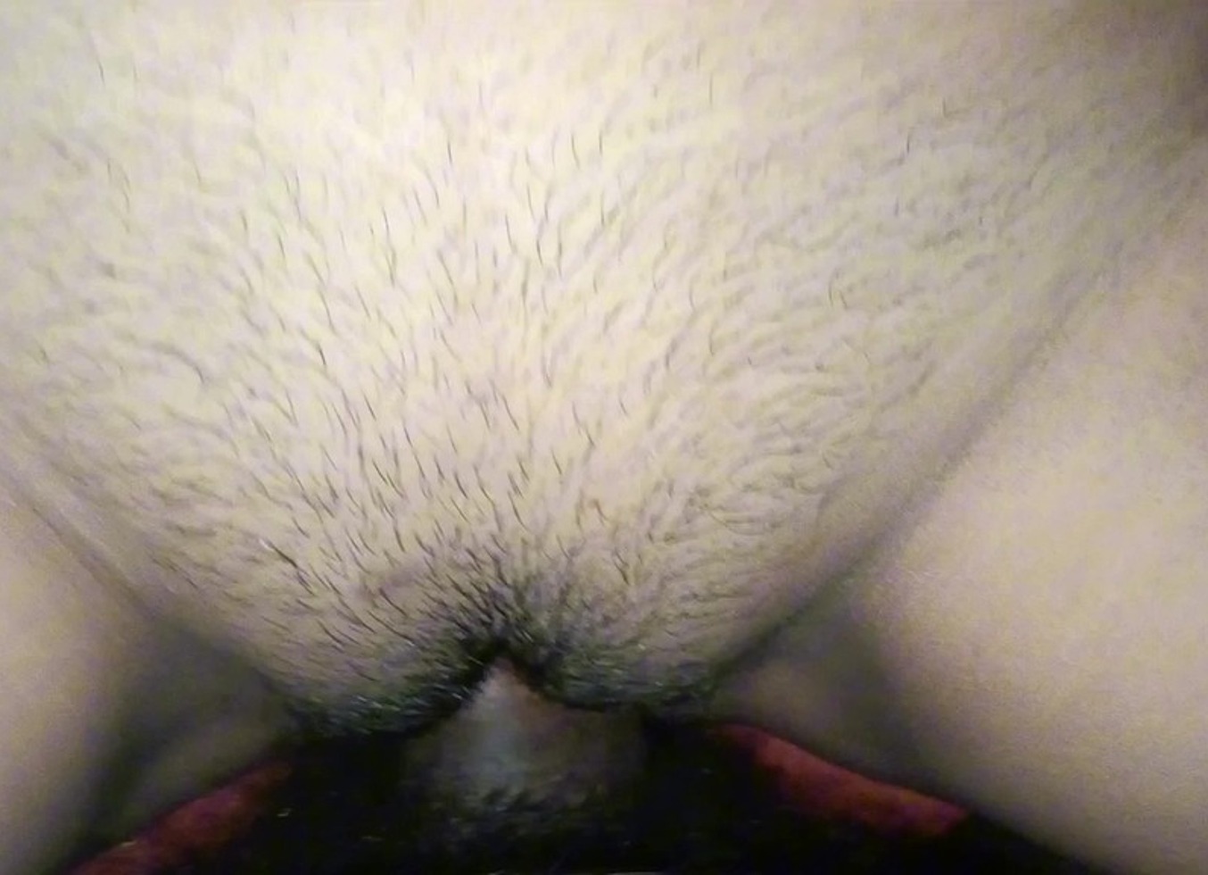 Realdesifuck - Update #1 - Desi Bhabhi Ki Boyfriend Se Chudai - Nov 29, 2024