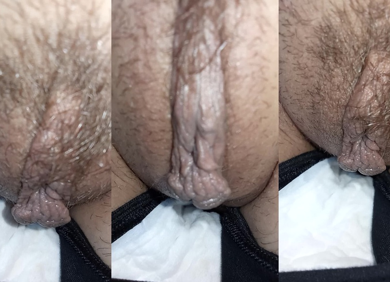 Pelo Lucido Pussy Jun 07, 2025