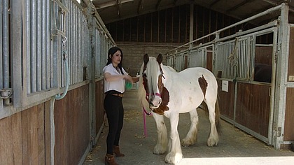 Private Riding School - The complete Movie - Anal - Big Tits - Creampie