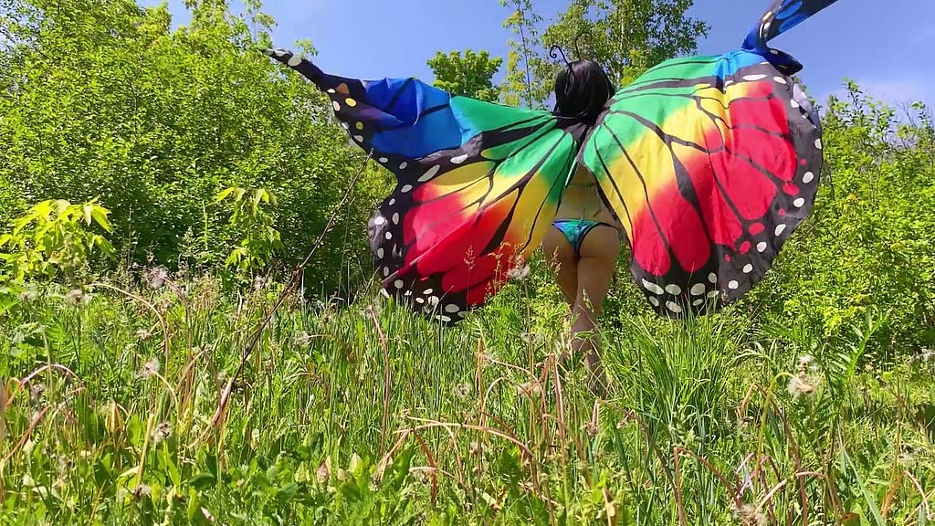 dancing butterfly (JigliDi) dancing butterfly (JigliDi)