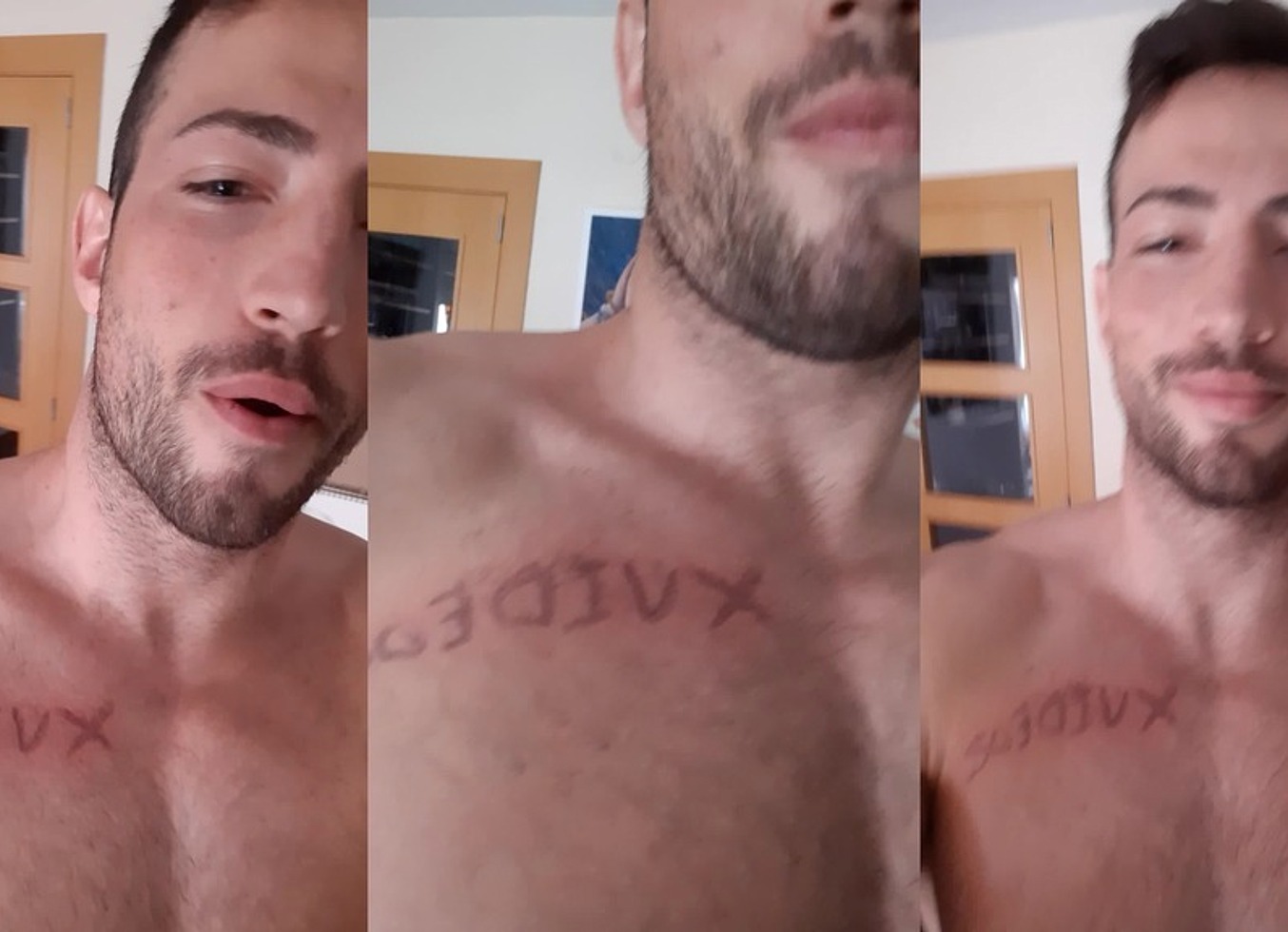 Video De Verificacion