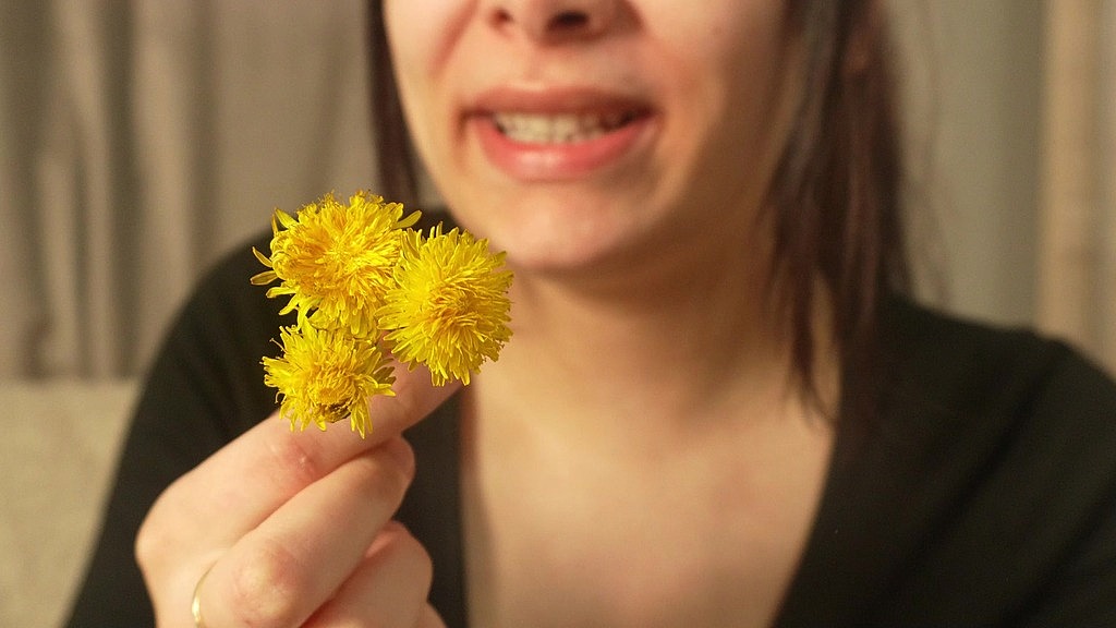 unstoppable sneezing after smelling a yellow flower (Amayamori) unstoppable sneezing after smelling a yellow flower (Amayamori)