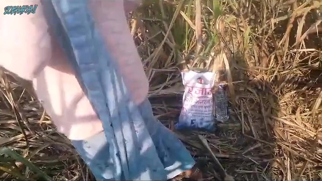 Ваш Jiya, Usboy: desi_bhabhi секс з її чоловіком село bhabhi (AnalVids.com) desi_bhabhi sex with her husband village bhabhi (Your Jiya, Usboy)