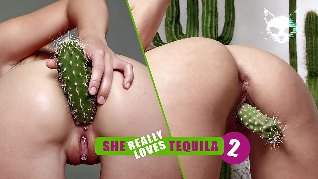кактус у піхві та анусі. хардкор. () a cactus in the pussy and anus. hardcore. ()