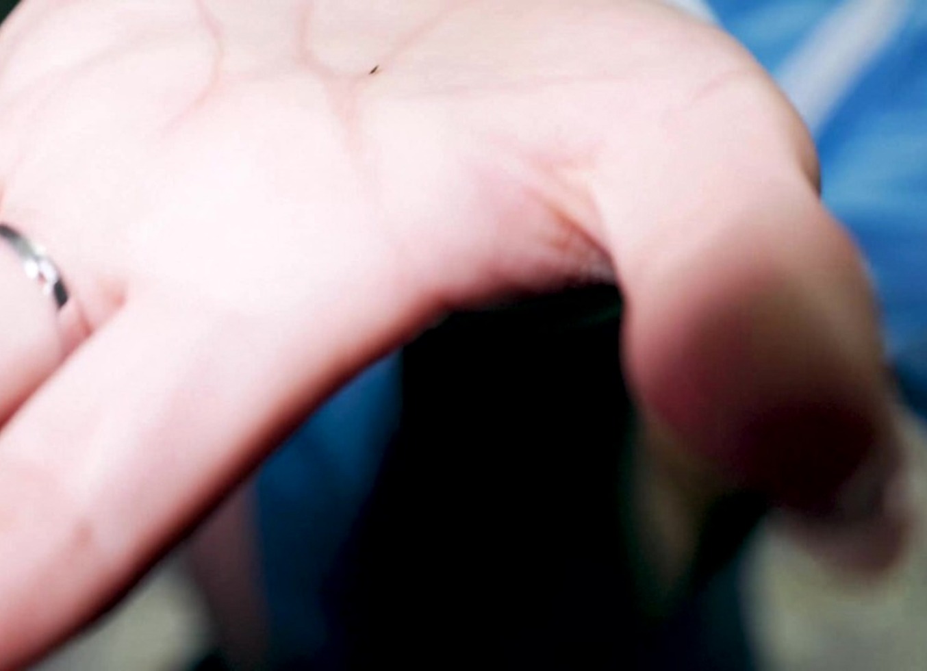 Trample On Tiny Colleagues