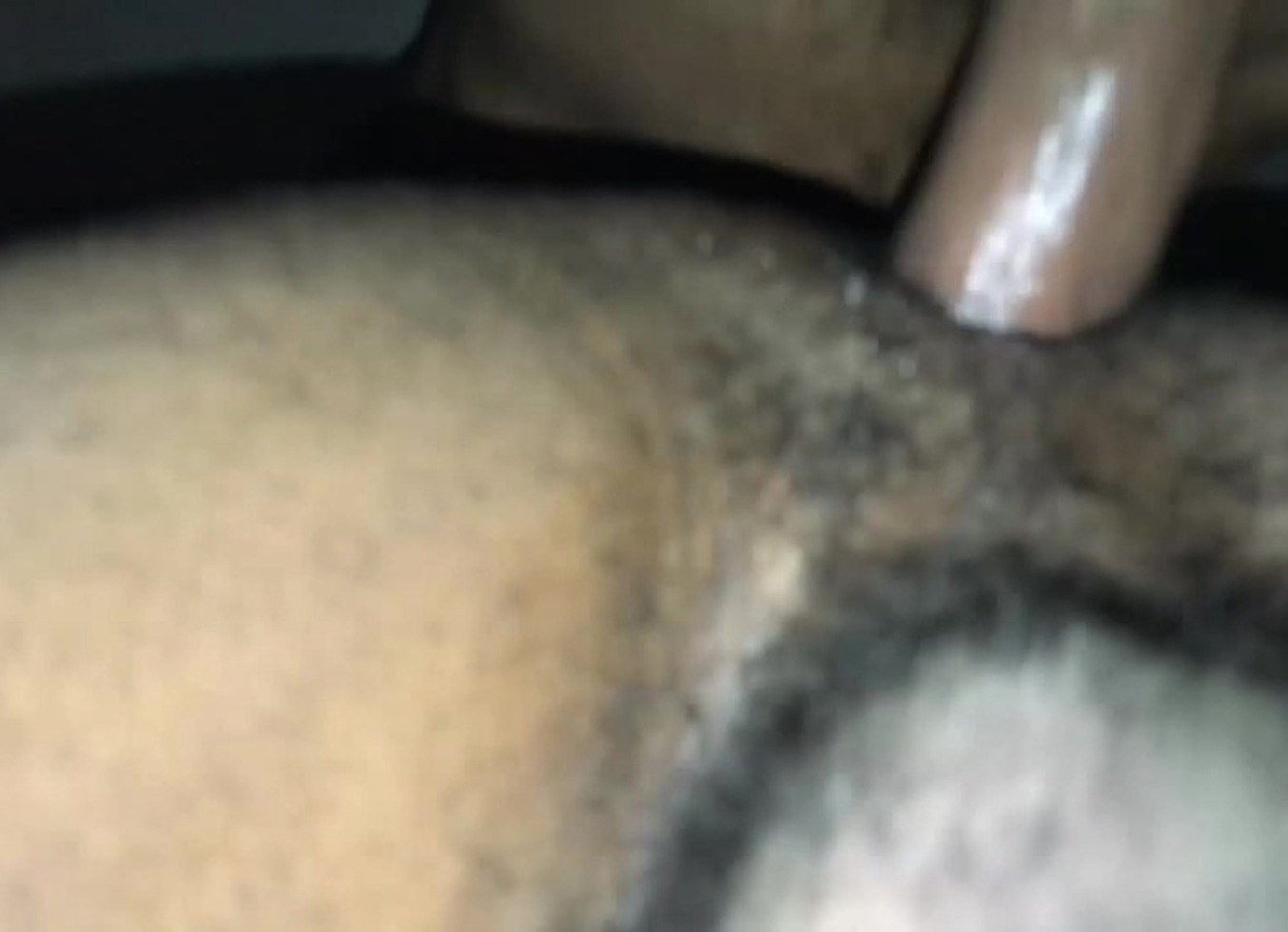 041 The Camera Didn't Focus Properly, But We Posted It Anyway