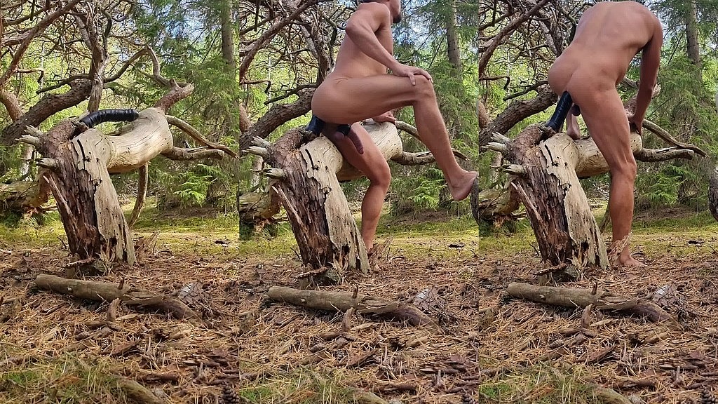 tip into the woods (Nicey7) tip into the woods (Nicey7)