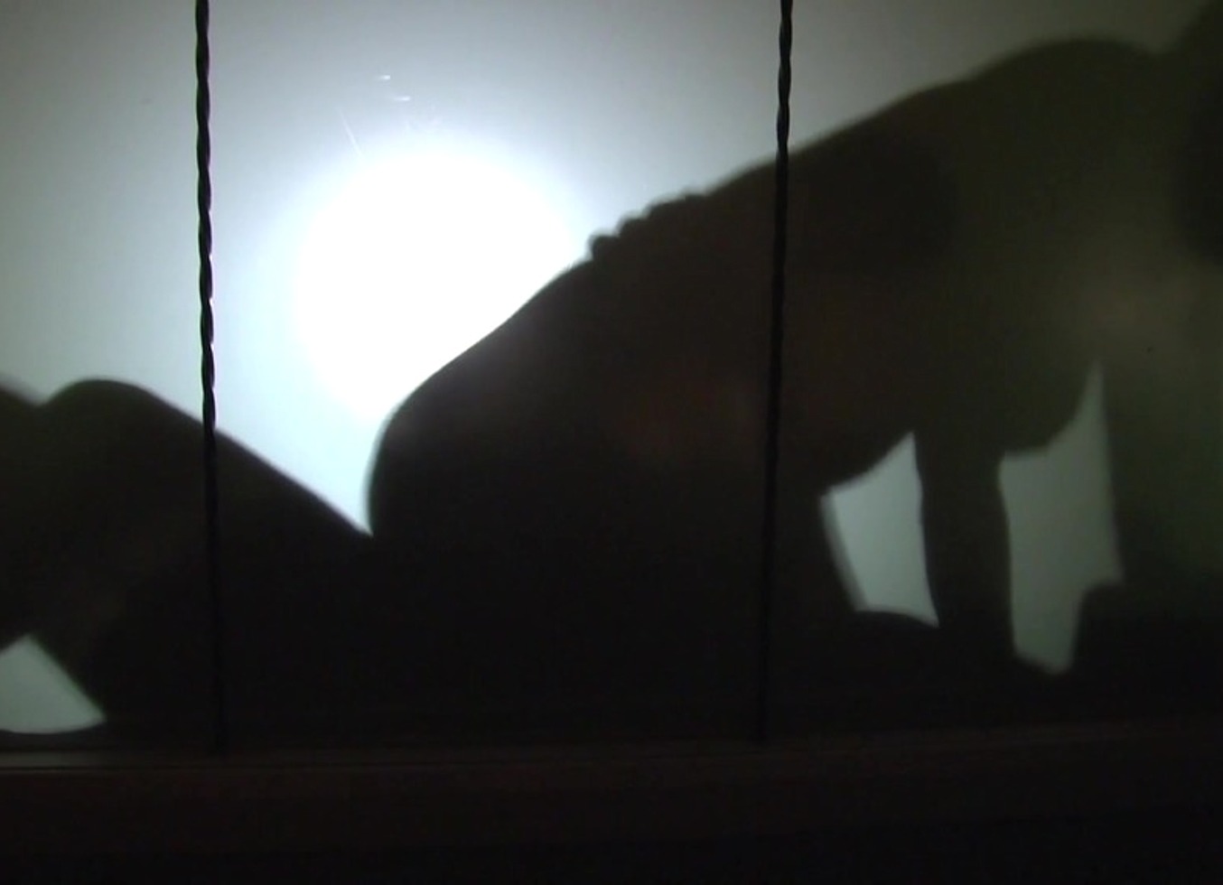 Silhouette Fun By Luci Clare And Mr_Mobydick