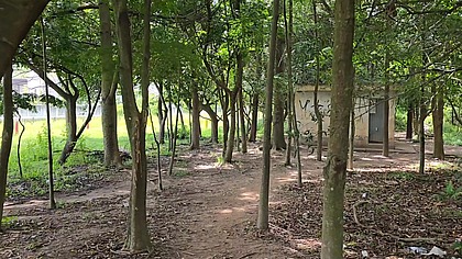 Orgia no arpoador com desconhecidos dentro do mato.- COMPLETO NO RED