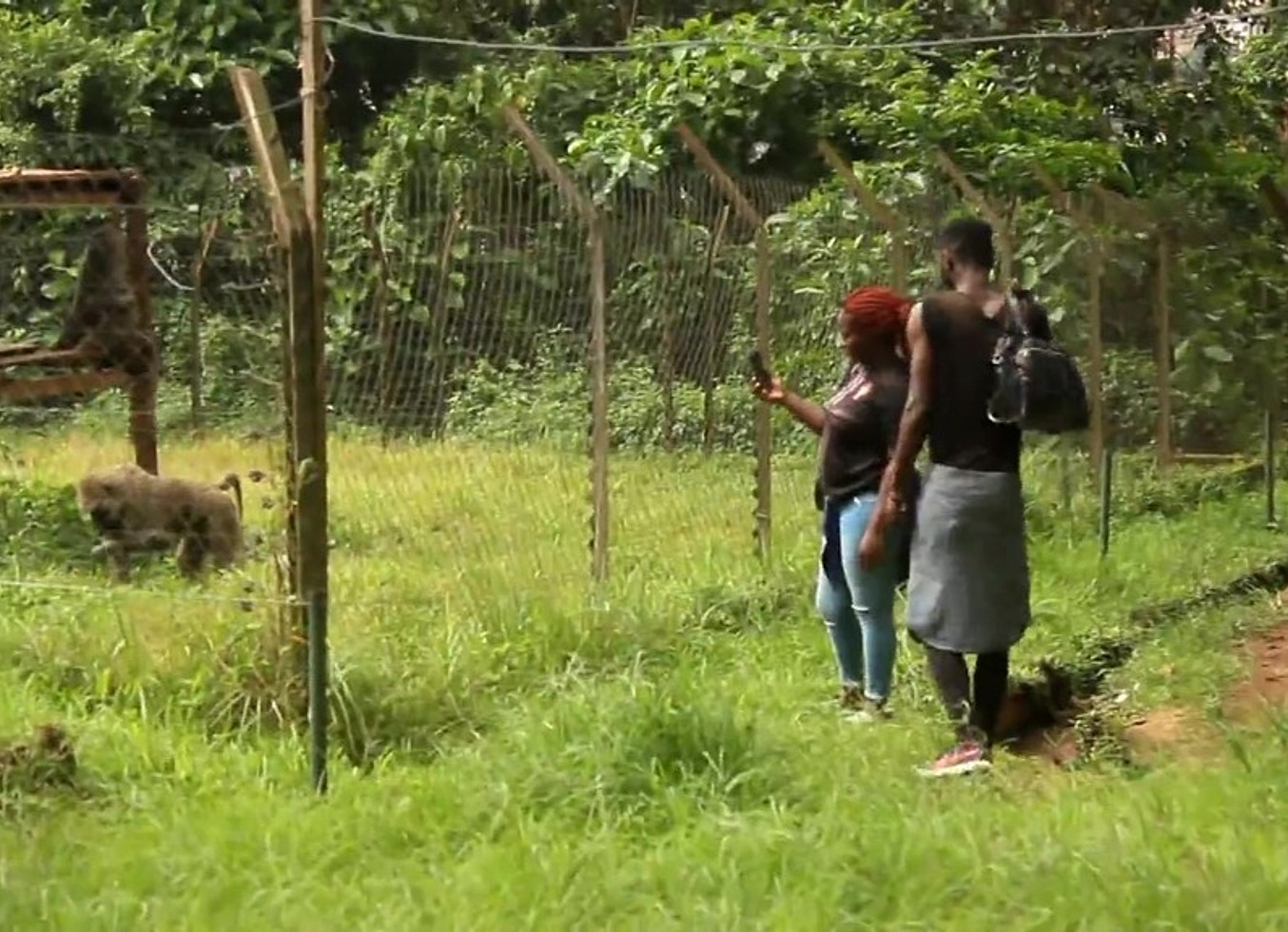 A Footballer On Vacation In Africa Makes The Strange Meeting Of A Mature Woman And Thanks In A Tourist Park, A Visit Which Will Very Quickly Shot A Public Fucking Scene