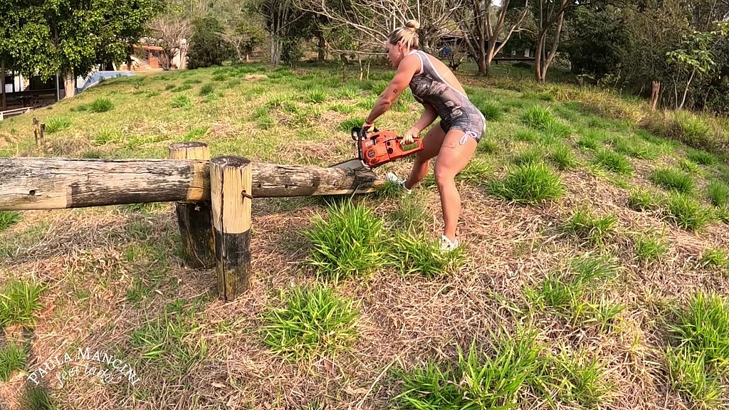chainsaw 07 (gasoline) - revving (Paula Mancini) chainsaw 07 (gasoline) - revving (Paula Mancini)