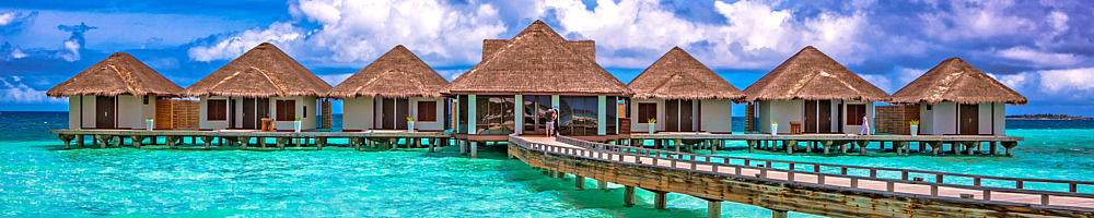 Pure Media Enterprises profile poster