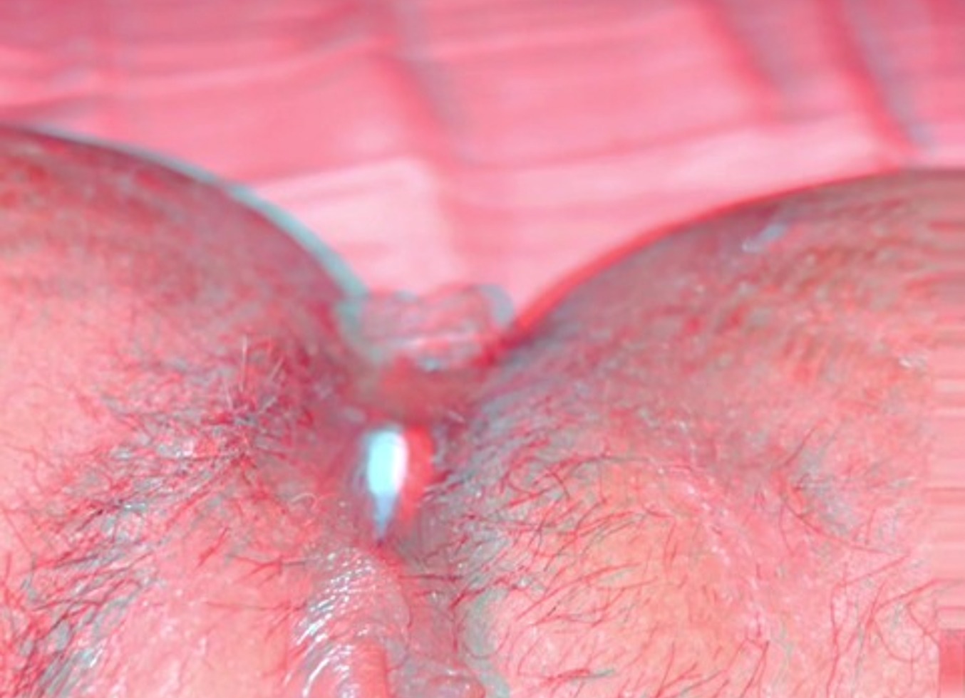 A Little Cream Pie Apr 01, 2025