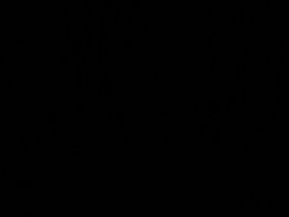 Newcomer rocks our socks off!