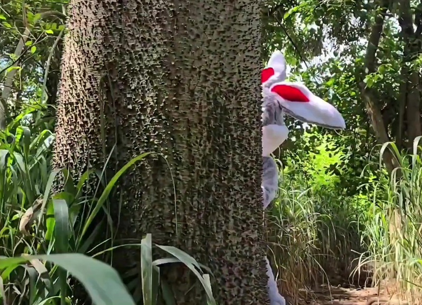 Coelhinho Da Pascoa Branquinho E Sapeca Chamou Seus Amigos Para Brincar De Esconde Esconde No Mato