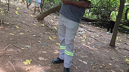 Orgia no arpoador com desconhecidos dentro do mato.