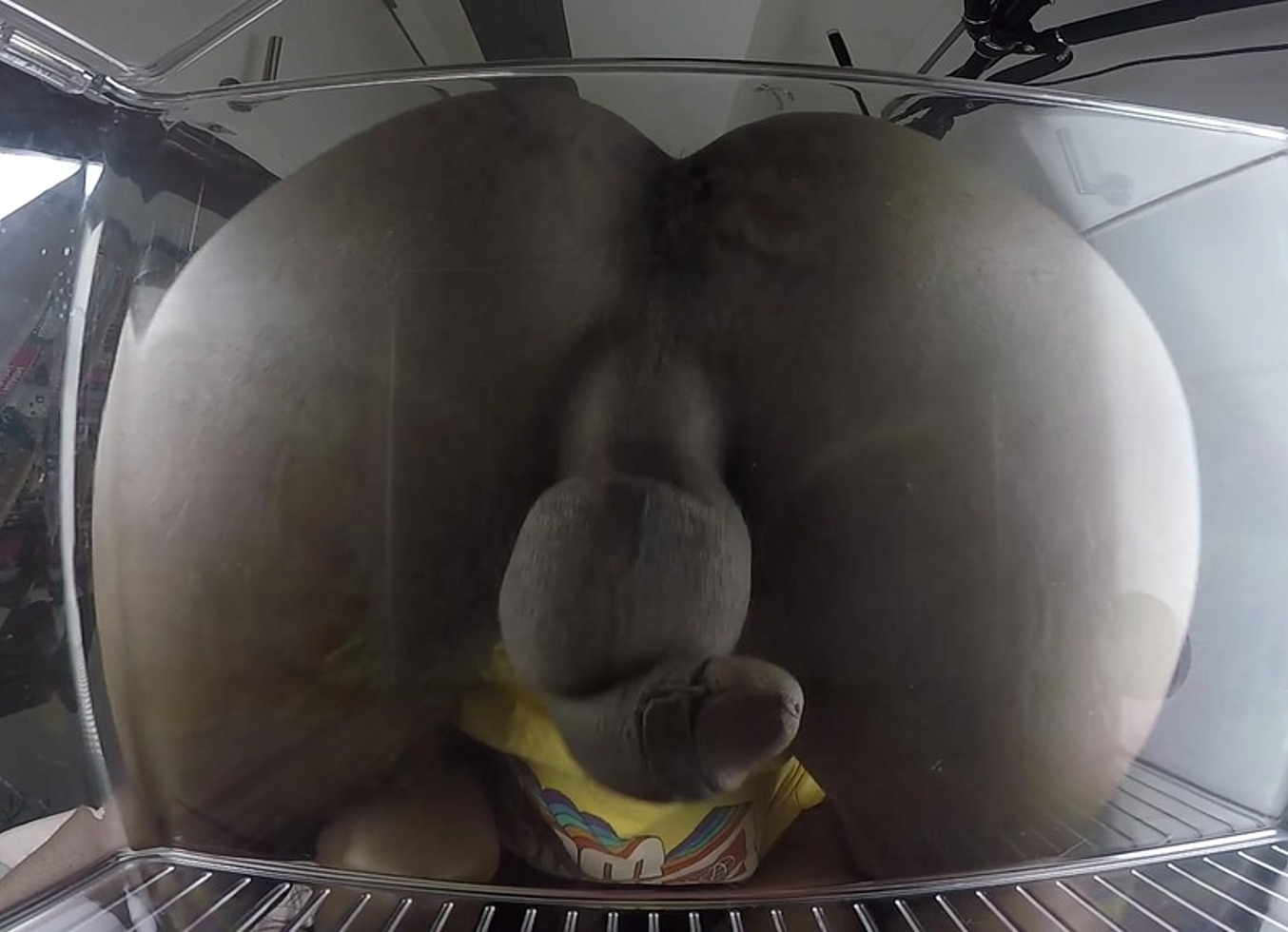 Is This Seat Taken? Trans Girl Sits On You - Crushed By My Ass, Dick And Balls!