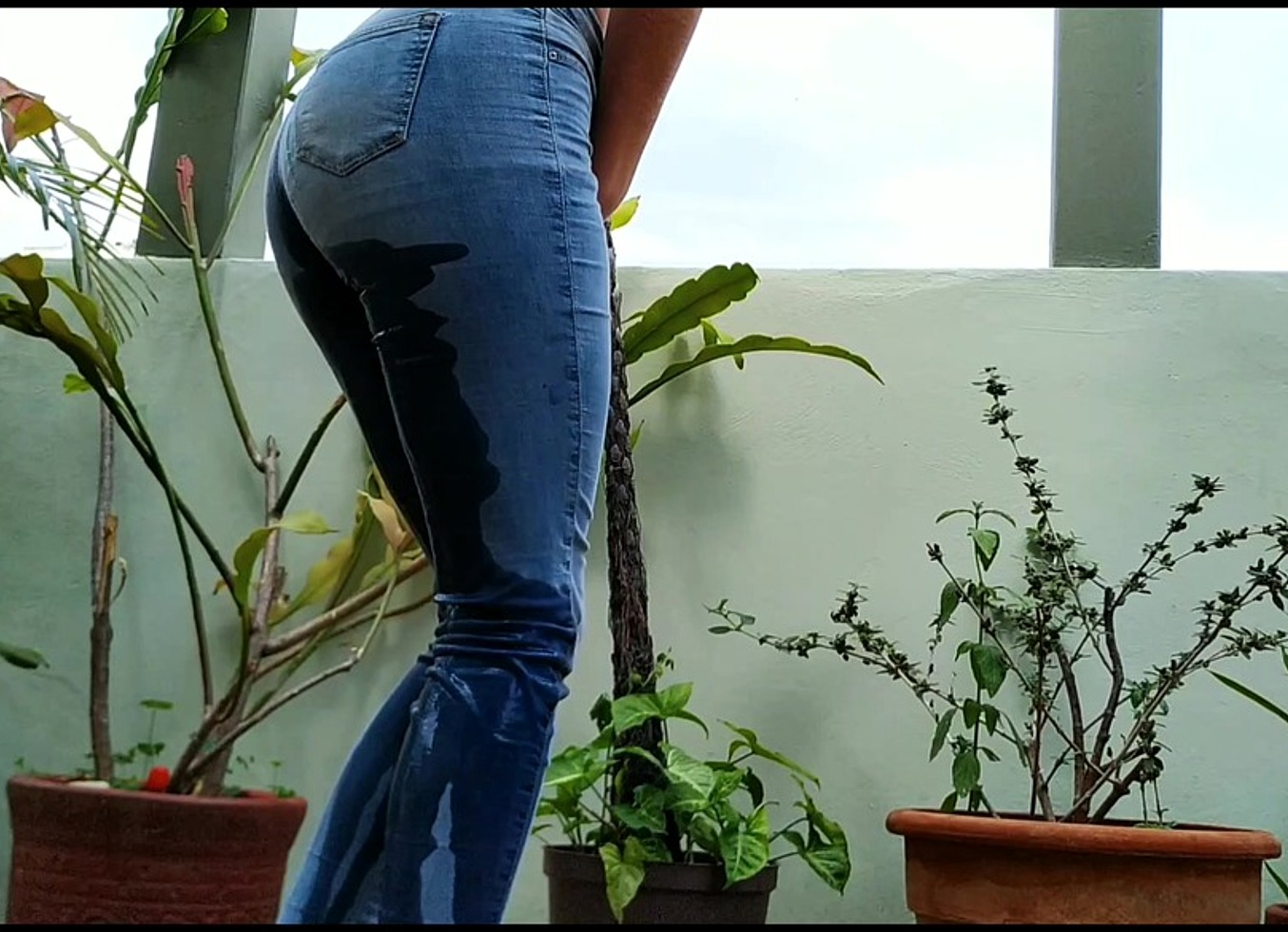 I Pissed My Bluejeans In Outdoor Garden