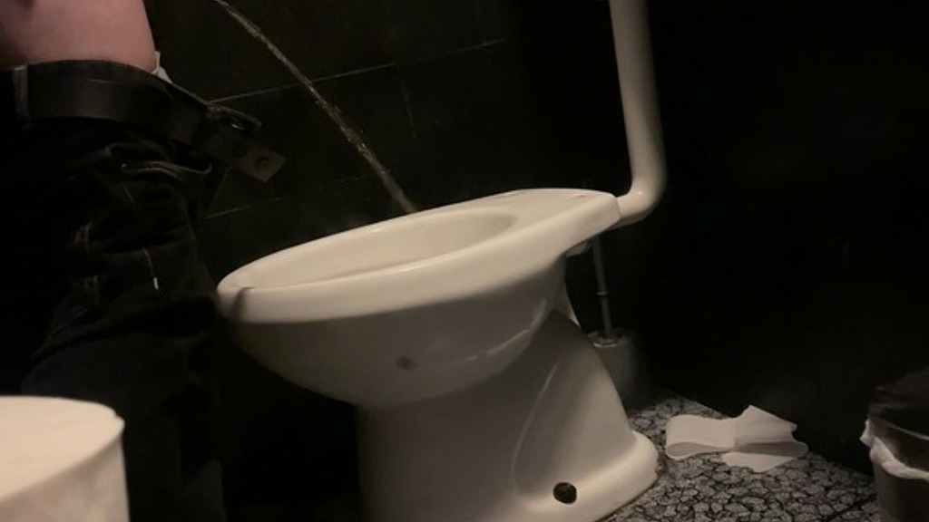 pissing in a club s toilets (Biflatmate) pissing in a club s toilets (Biflatmate)